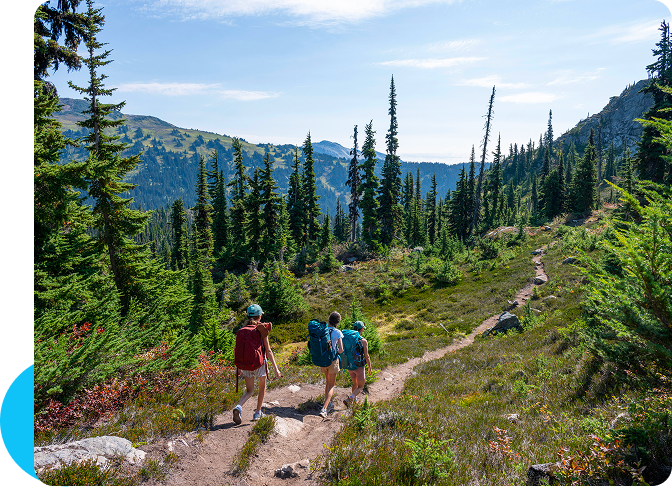 Two hikers walking on a mountain trail surrounded by tall pine trees and scenic views.